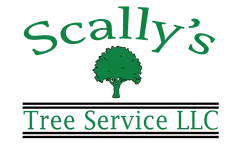 Scally's Tree Service