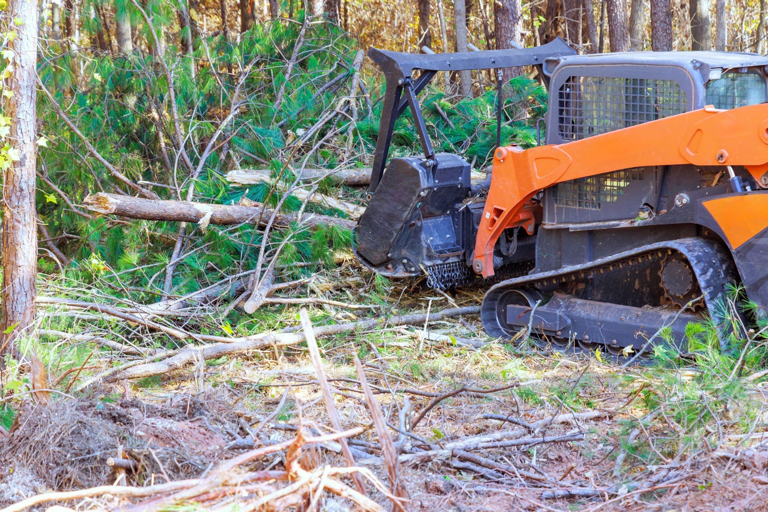 Lot clearing